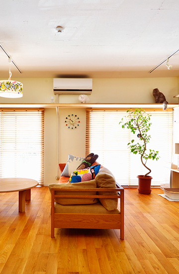 キャットウォークは猫たちに大人気