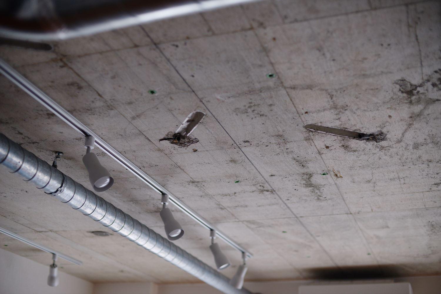 あらわしの天井。低かった天井高を上げられるだけでなく、コンクリートの無骨さがインテリアのアクセントにも。