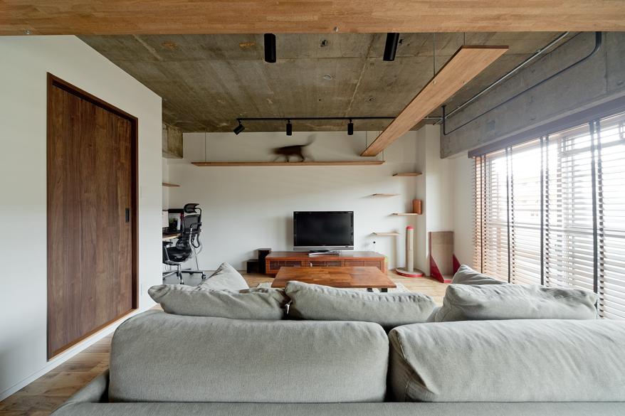 コンクリートむき出しの天井に吊り下げたキャットウォーク。
猫ちゃんもリノベーションを楽しんでくれています。