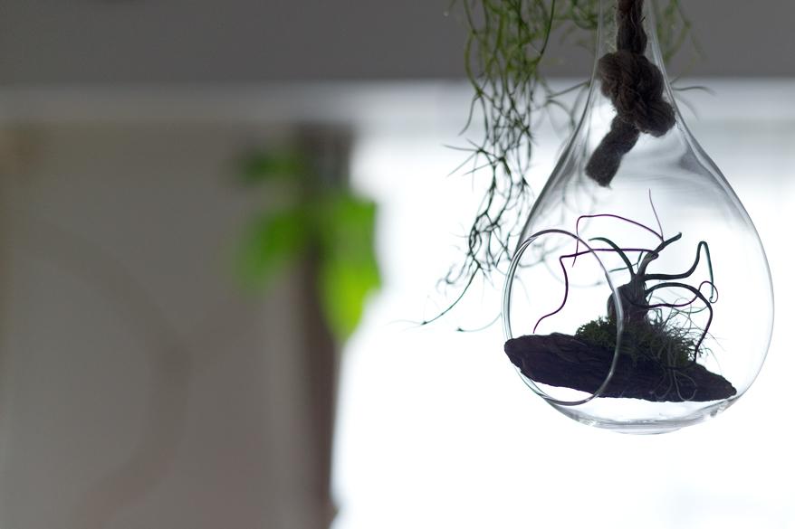 「モルタル天板の造作キッチンが引立つ空間」のその他