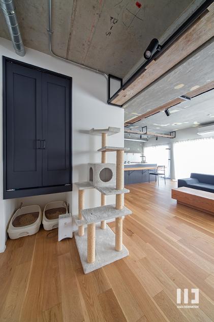 「ネコノアール」の愛猫スペース