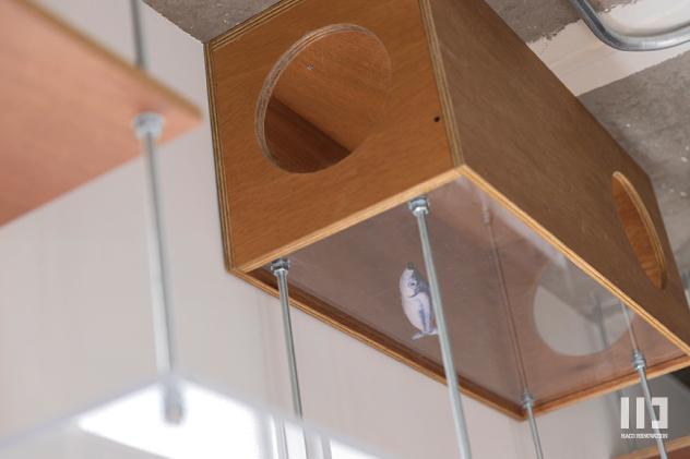 「frame」のキャットウォーク