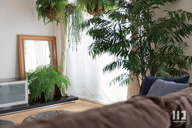 「comfortable house」のリビング