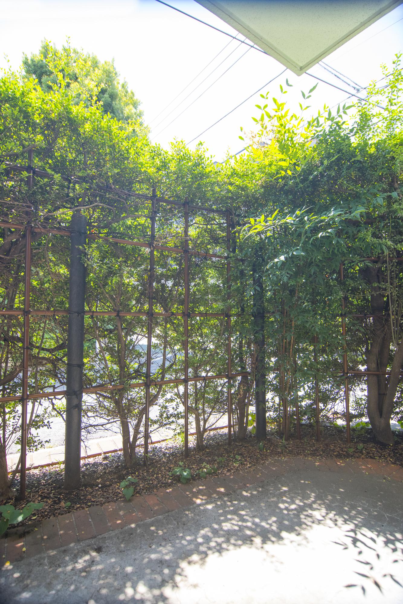 大きなお庭には垣根があるのでプライバシーもばっちり。