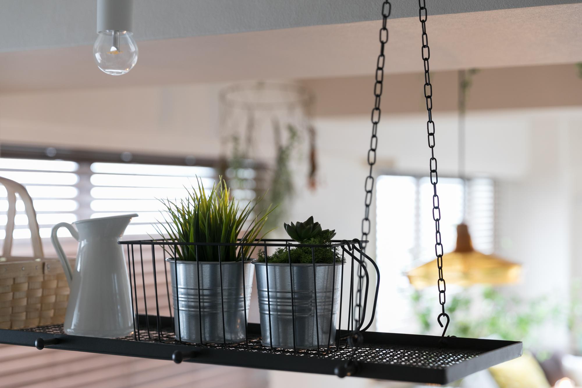 専用照明レールにグリーンを吊ることも出来ます。