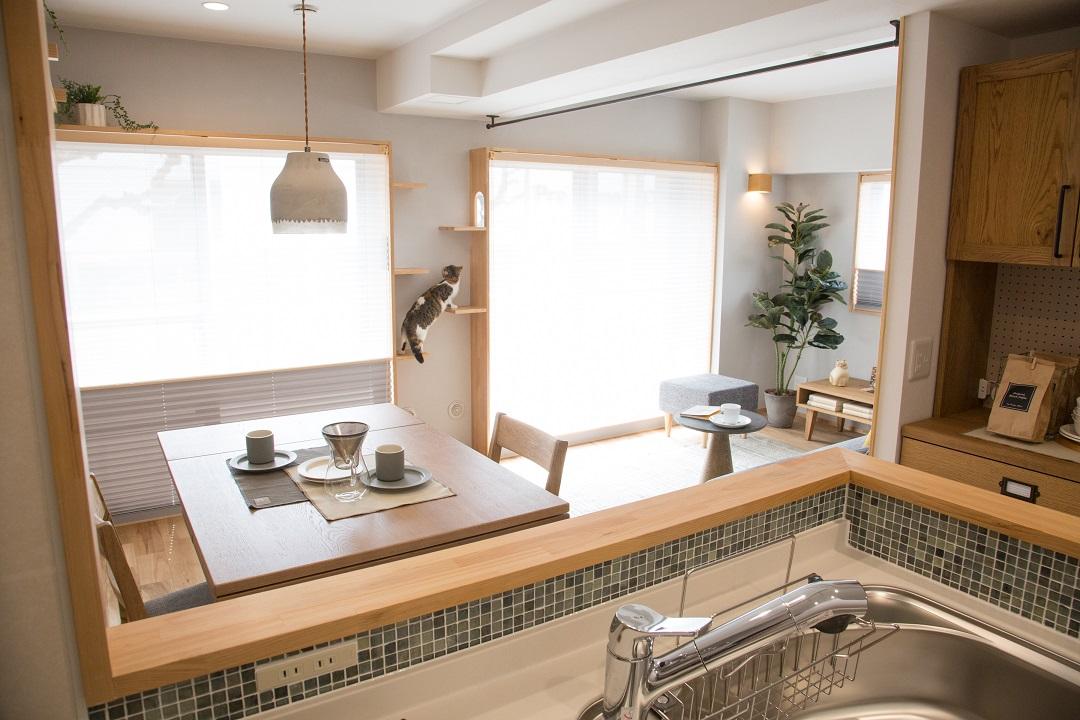 リビングダイニング