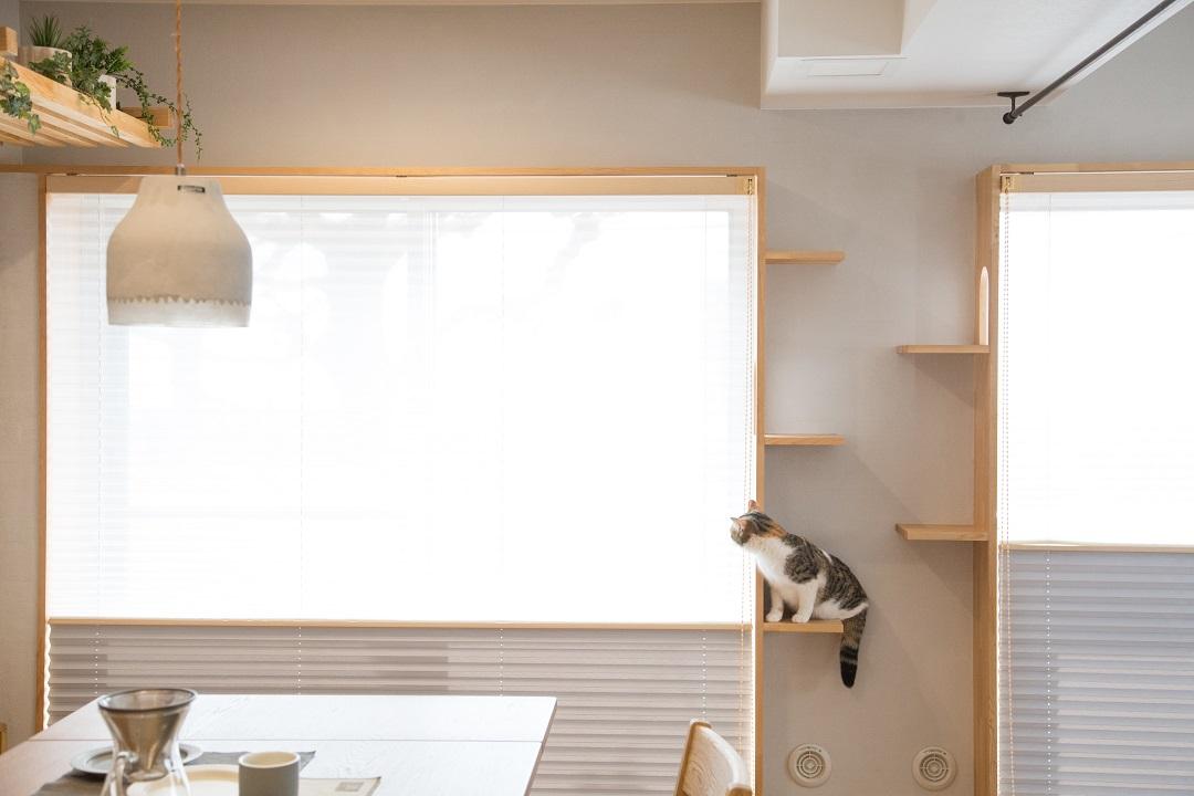 見た目もスッキリと美しく、猫の運動不足解消にも配慮したキャットスペース。
マイリノペットforねこでは猫も人も快適で健康に過ごせるオリジナル家具製作を行います。猫が元気に動ける場所として、部屋と一体化したキャットスペースを作り、壁と天井を自由に行き来できるようにして猫の運動不足を解消します。
