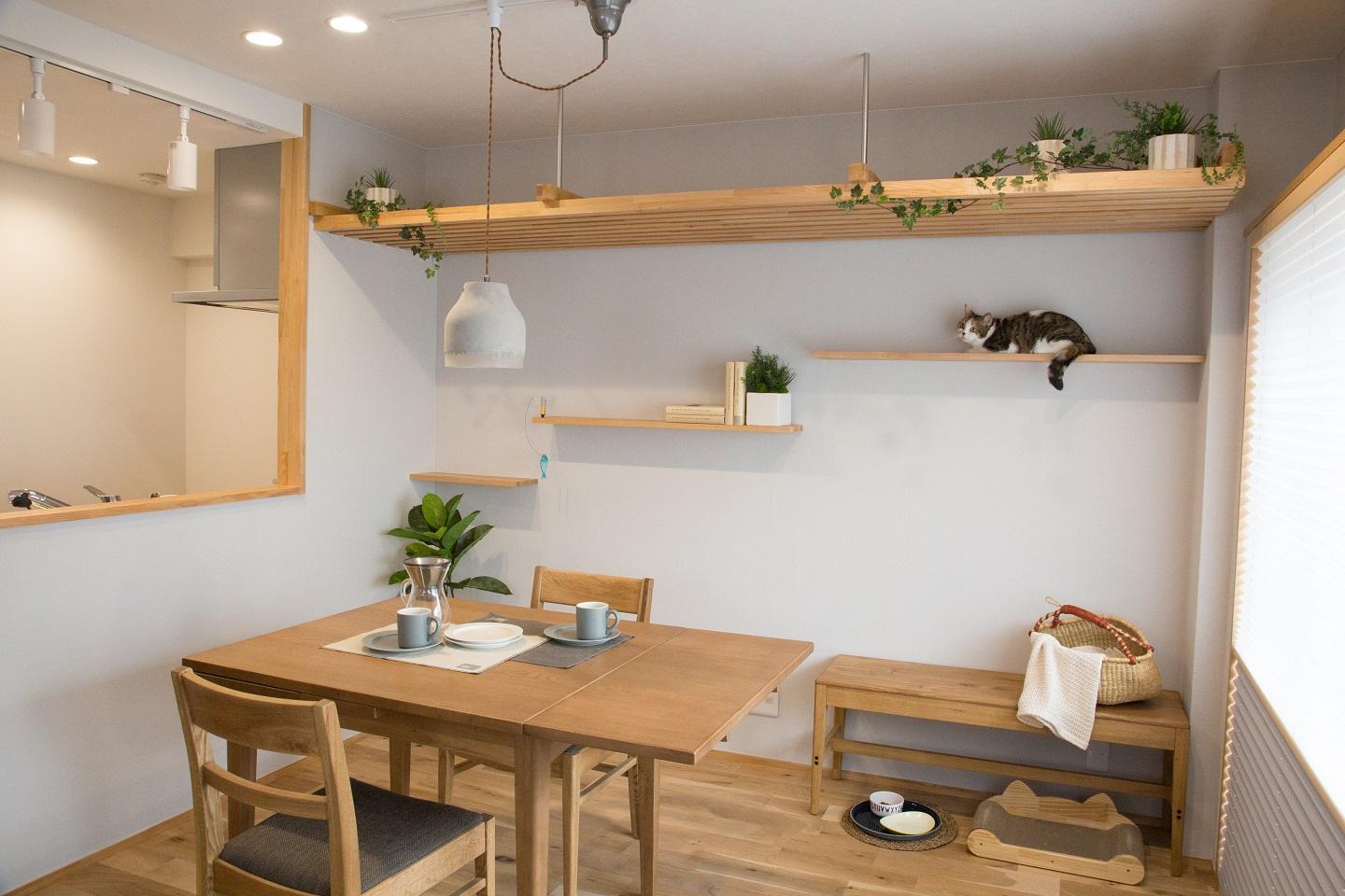 リビングの壁面には自然素材の塗り壁を採用し、「吸湿・放湿機能があり、カビやダニの発生を抑制する調質効果」と「ペット独特のにおいも軽減する消臭効果」をもたせました。
さらに、照明を当てると塗り壁の印影がお部屋の雰囲気を作ります。