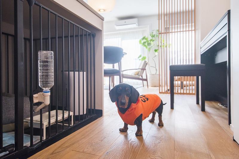 設計後の間取りでわんちゃんのゲージをどこに置くか迷われたそうです。お手持ちの家具との兼ね合いもあり、考慮した結果キッチンカウンターの下を設計士より提案させていただきました。