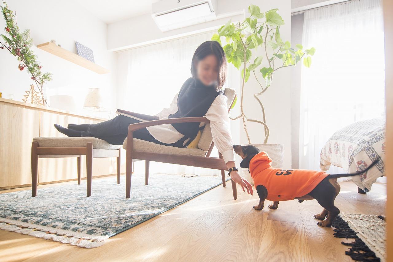 明日への活力を養うことができる心地の良い空間です。愛するわんちゃんとも一緒にくつろげる快適なお部屋です。