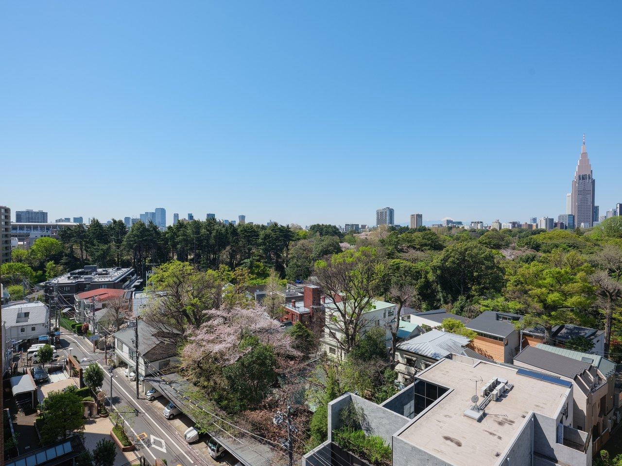 リビングから新宿御苑が一望できる