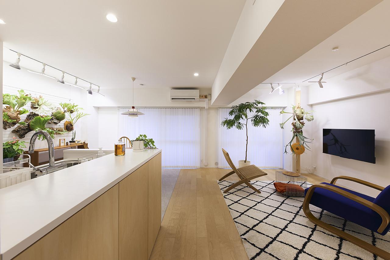 リビングの大きな窓と、陽当たりの良さが物件購入の決め手になったそう。