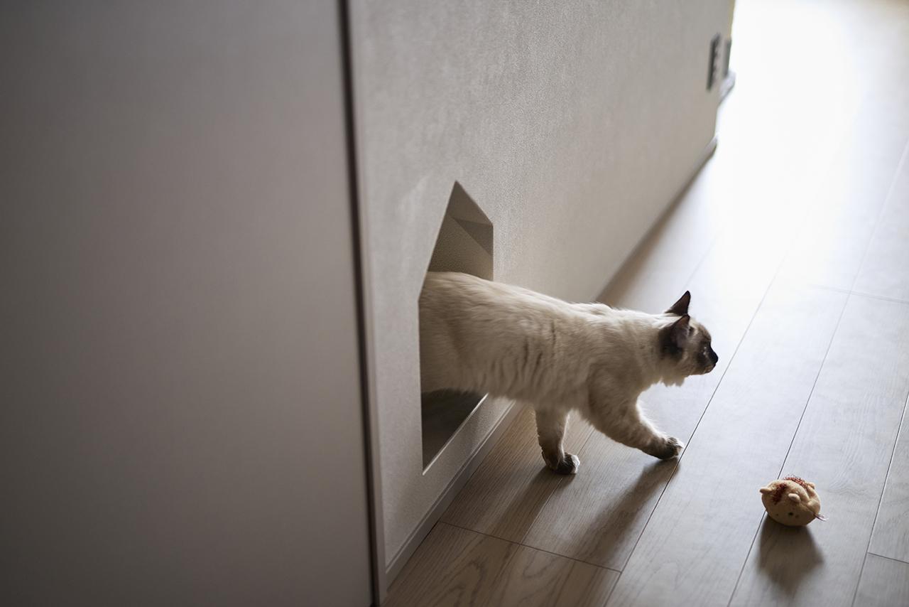 キャットゲート