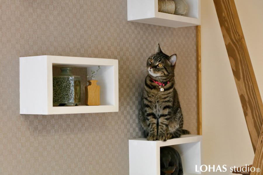 愛猫のためにLDKの壁に造作したキャットタワー＆ウォークです。家族が様子を見守れるだけでなく、猫ちゃんの運動不足やストレス解消にも役立ちます。