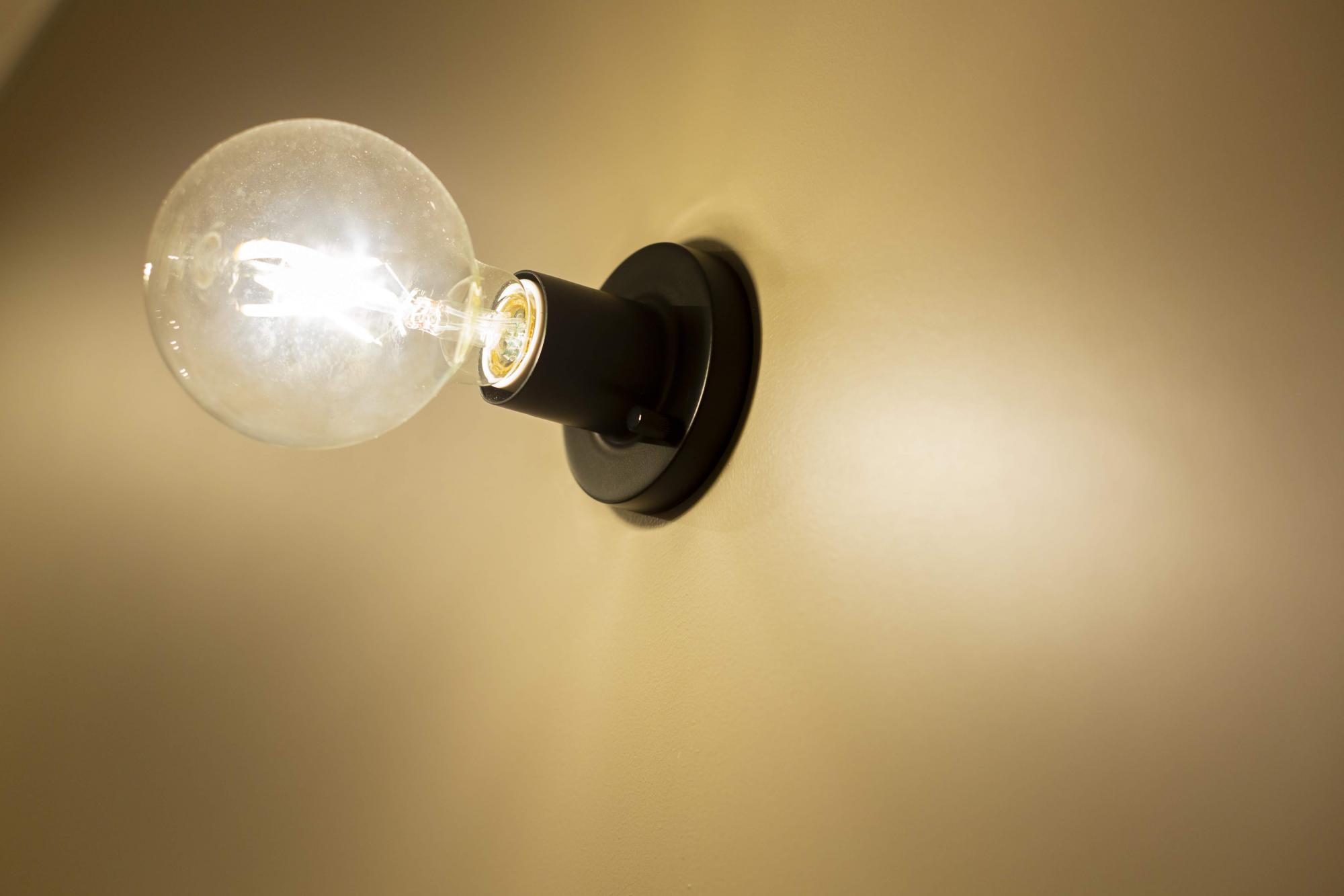 フォルムがかわいらしい裸電球