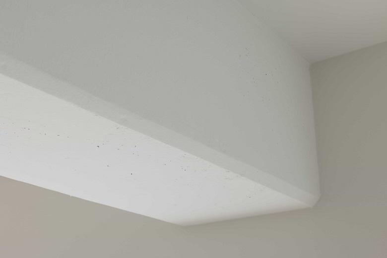 LDKの天井はマンション躯体に白い塗装を施して、少し無骨な印象に。