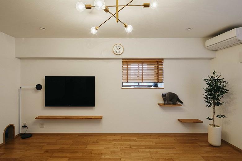 猫ものびのびと遊べるキャットウォークを設置しました。キャットウォークで室内猫の運動不足を解消できます。