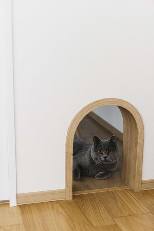 猫用の開口もそれに合わせてアーチにすることで、空間に統一感をもたせました。