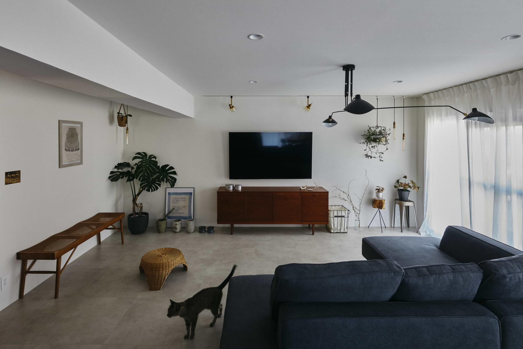 壁は塗り仕上げを採用しました。マットな質感が優しい印象を与えます。