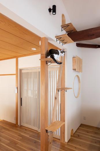 2階主寝室の猫開口を介して行き来できる丸太梁もキャットウォークとして役立っています。