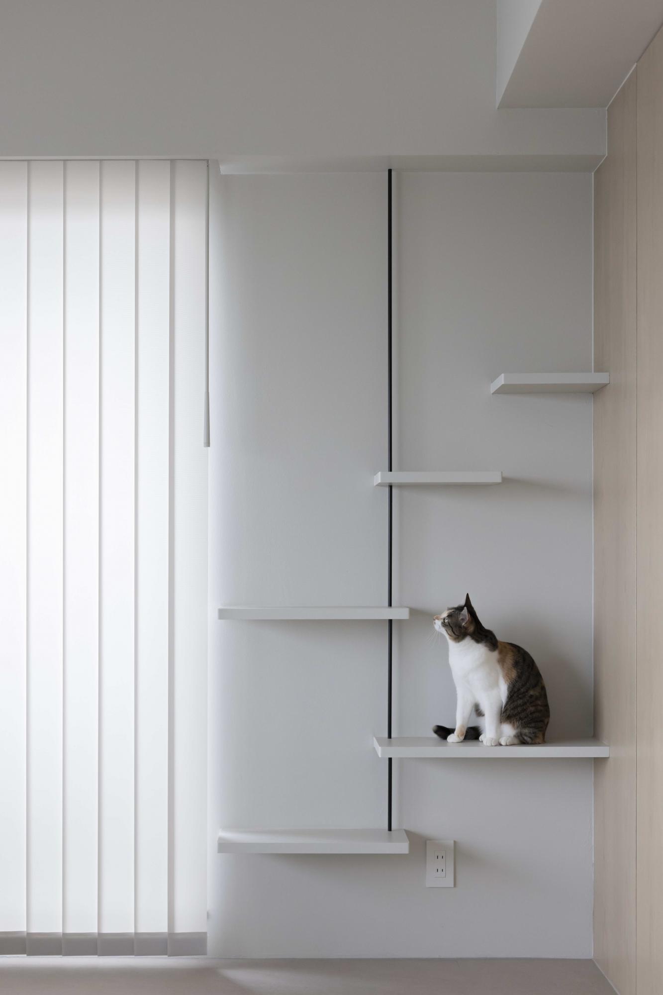 金具が見えないように、埋め込みで施工したキャットウォーク。汚れにも強いメラミン材を採用し、色味は壁面と合わせてグレーを選定しています。