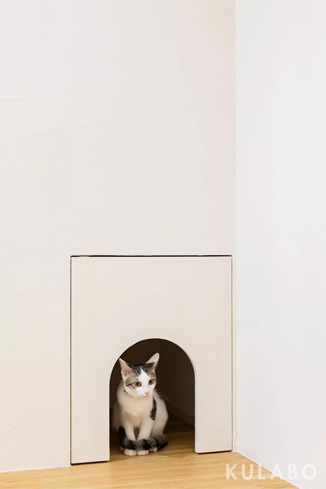 アーチ開口で造作した猫用のトイレ空間は、猫ちゃんも落ち着いて排泄できる設計。