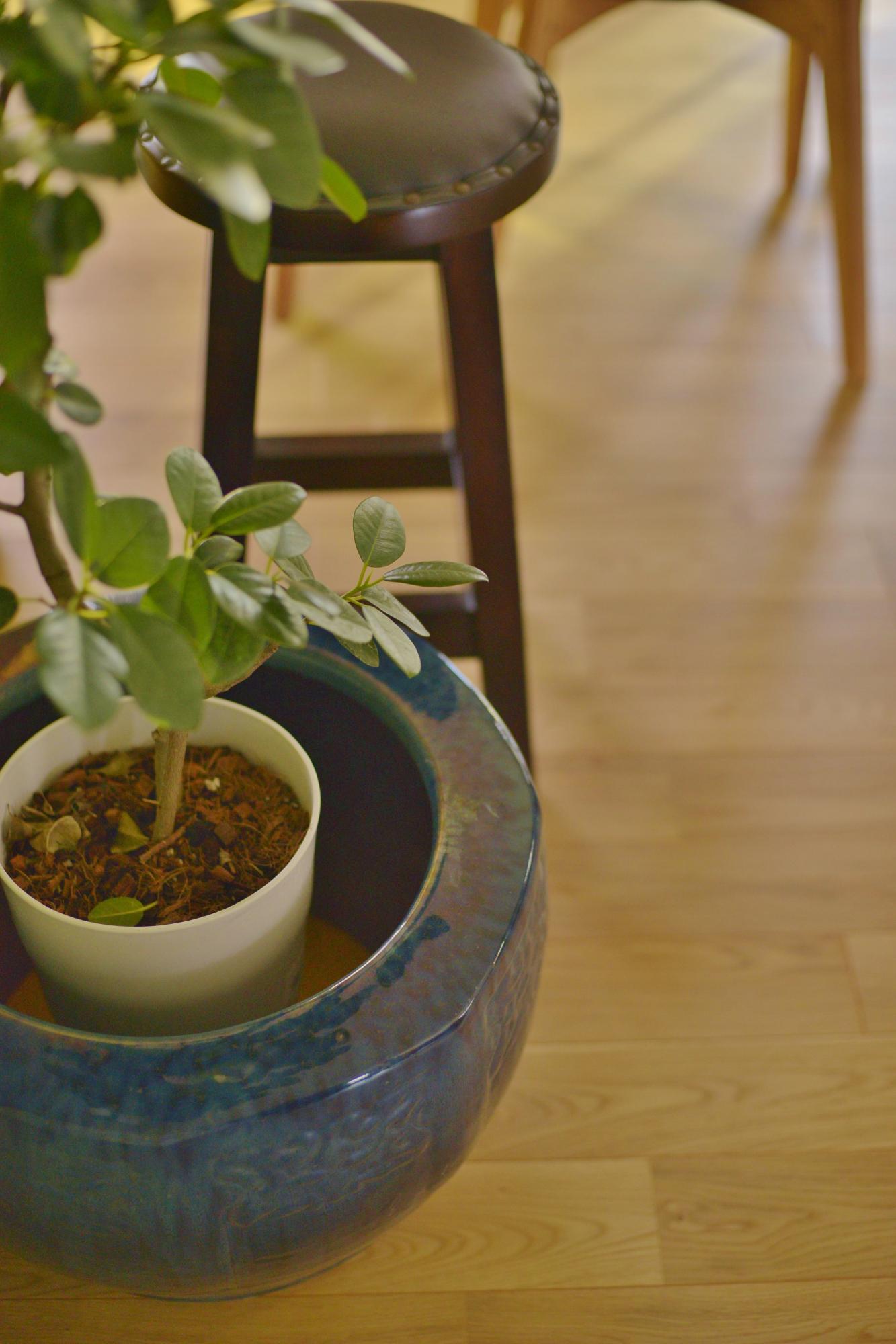 親から譲り受けた火鉢。ちょうどよい居場所を得て輝いて見えるそうです。