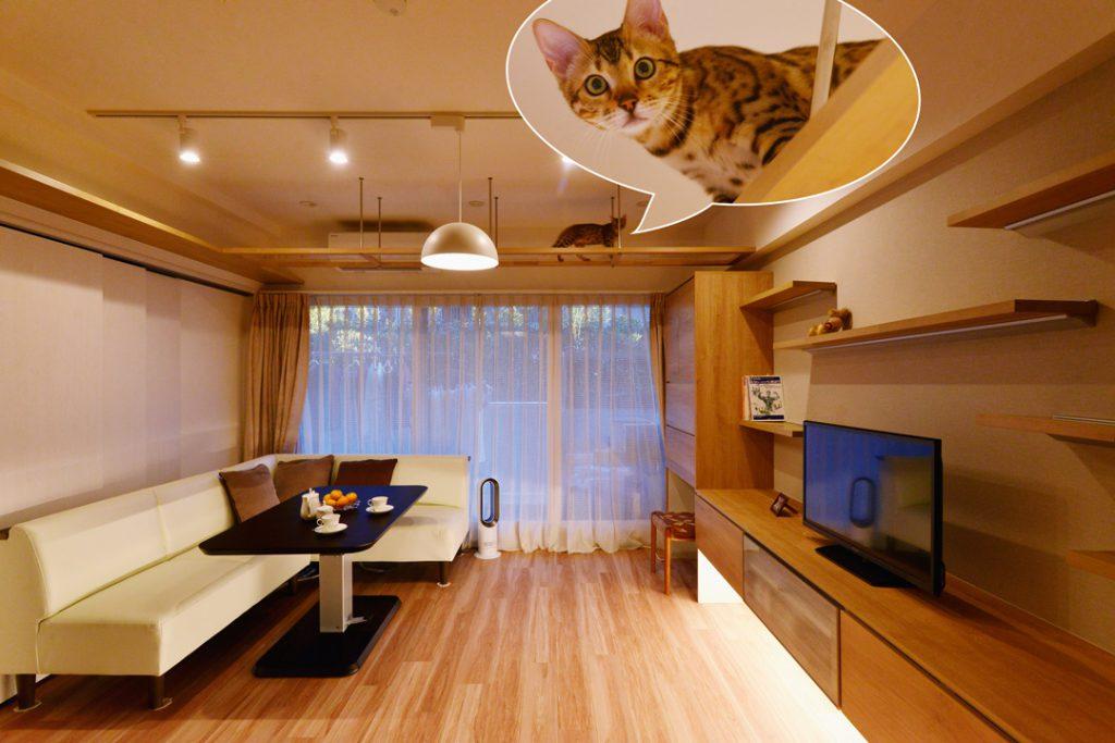 お住まいじゅうのあちこちにキャットウォークを巡らせました。
猫ちゃん幸せです。