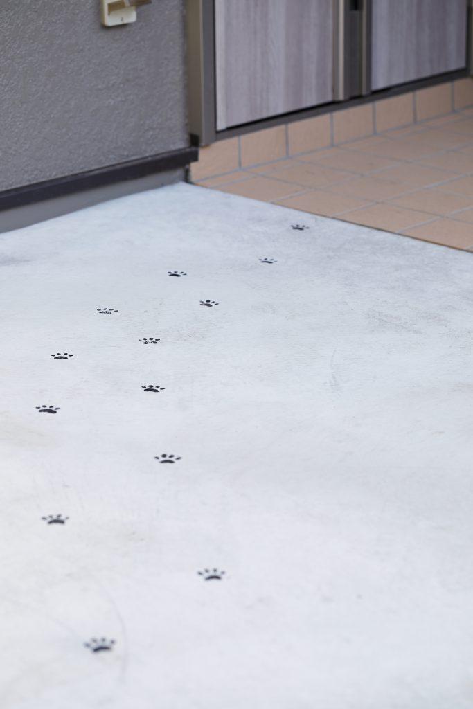 ペットのわんこが付けた足跡？