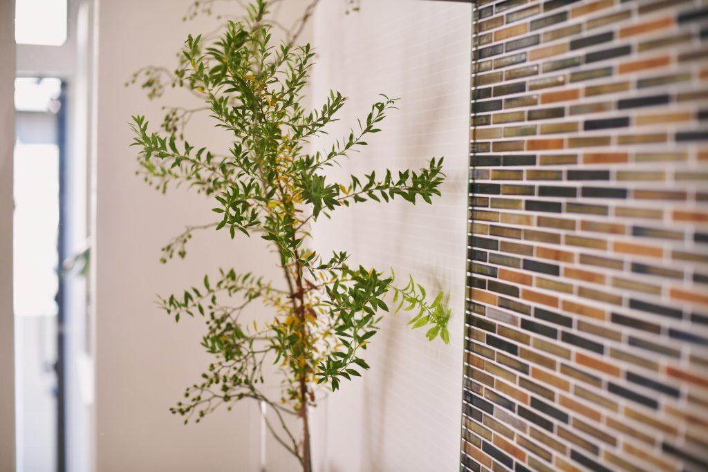 キッチン横には印象的なタイルを貼って視線を集めるフォーカルポイントに。