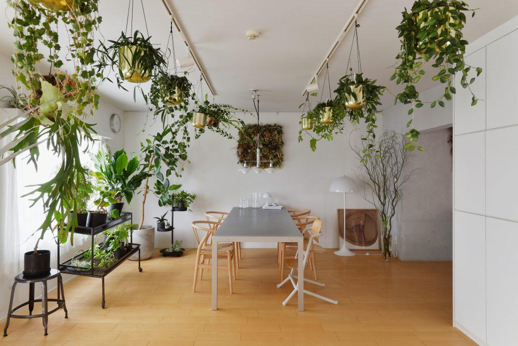 観葉植物をたくさんハンギングするためにライティングダクトは並列して設置。シンメトリーのデザインに植物たちが良いアクセントをくれています。