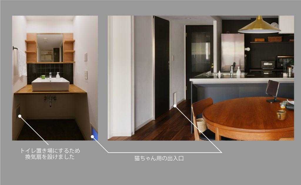 猫愛があふれています。その2