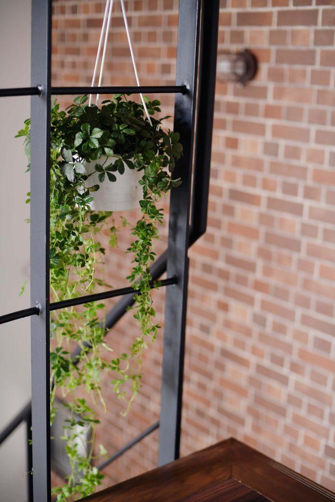 階段手摺は艶消しの黒に塗装。狙い通りアイアンの様な仕上がりになりました。