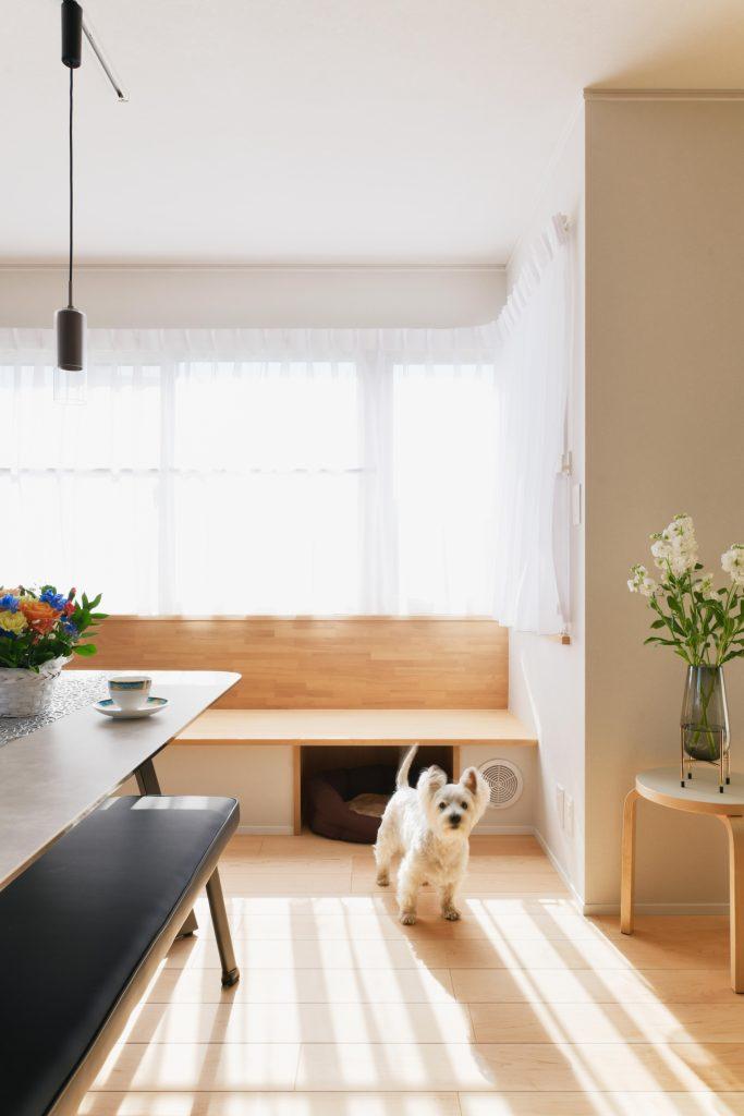 窓際にはカウンターベンチを設置したヌックコーナー。日向ぼっこしながらくつろげます。