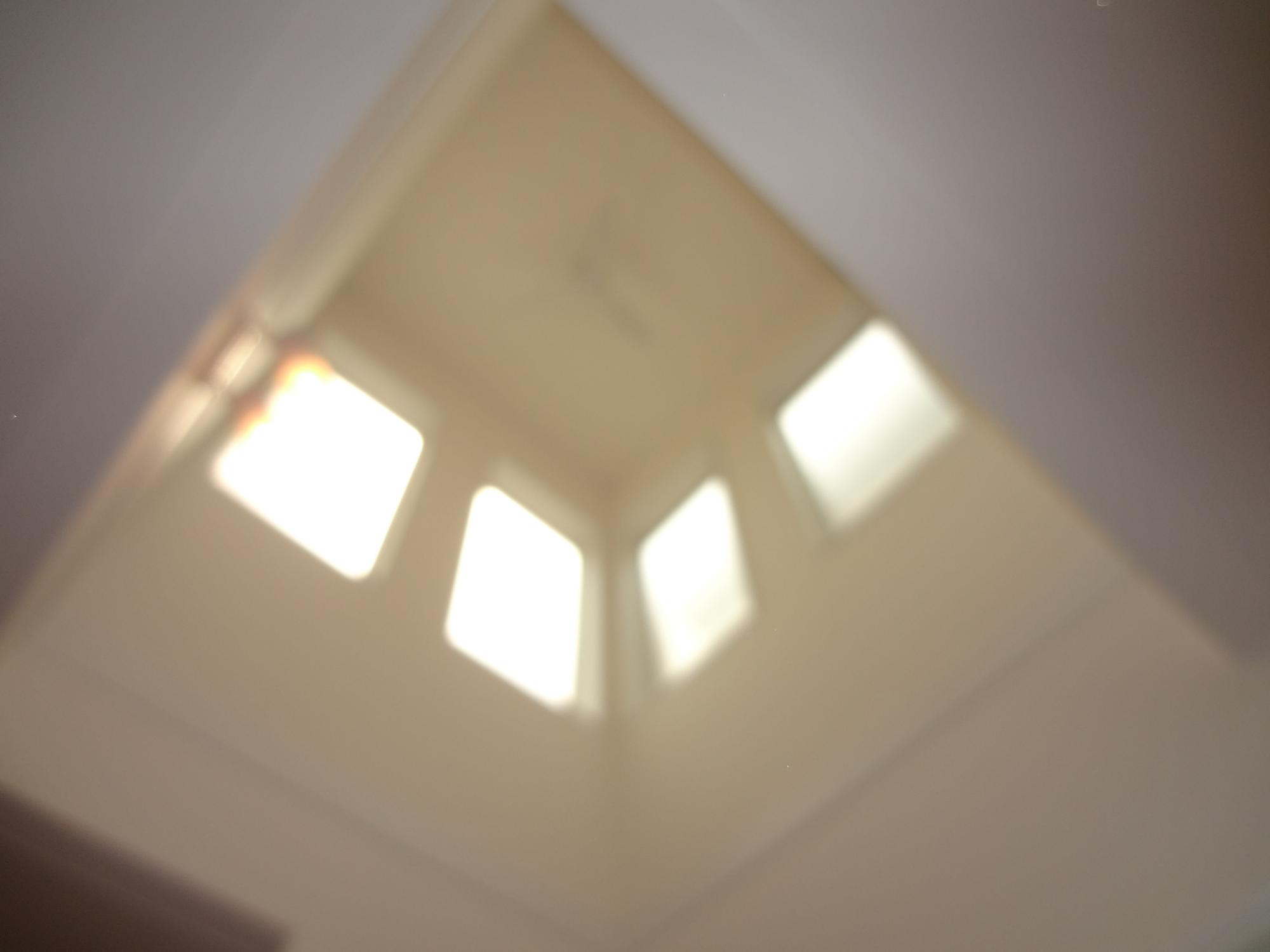 ホームズ 明石市 ペットと共生する 吹き抜けのある家 リノベbox スペシャルver