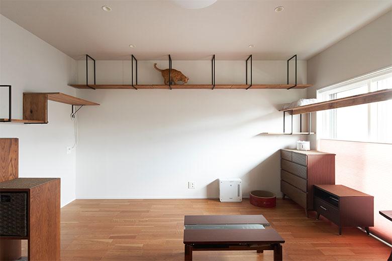 ネコを飼っている建築士とネコ愛好家ならではの視点で話が盛り上がったというキャットウォークは、お留守番をする愛猫が存分に遊べるように、LDKの三方の壁にぐるりと設けた。フローリングもペット用なので安心だ。