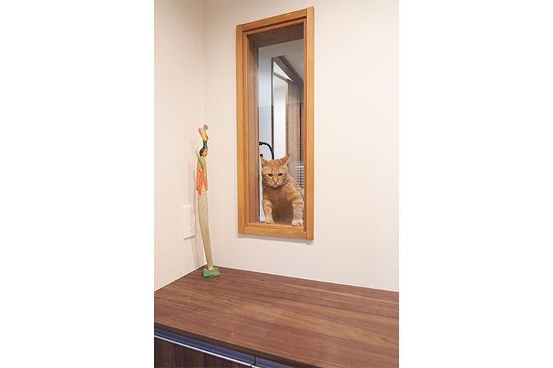 帰ってきた気配を感じたら、愛猫が洗面台から玄関を覗けるように小窓を作った。夜ちょっと遅くなったときは、この窓にいて帰宅するのを待ってるそう。